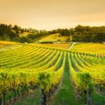 L'integrazione di Architettura e Agronomia per la Sostenibilità Ambientale in Sardegna